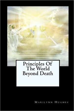 Principles of the World Beyond Death: Early Morning Devotional for the Busy Worker on the Go!!!! de Marilynn Hughes