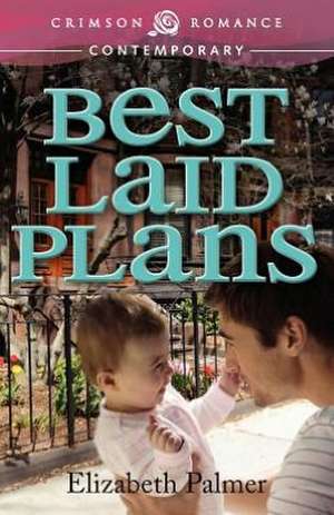 Best Laid Plans de Elizabeth Palmer