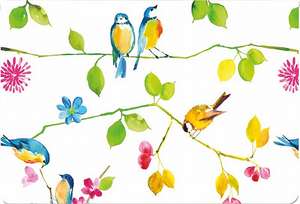 Watercolor Birds Note Cards: Stationery de Peter Pauper Press