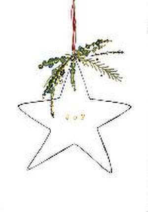 Shining Star Small Boxed Holiday Cards (20 Cards, 21 Self-Sealing Envelopes) de Becky Sands