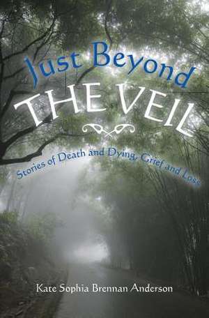 Just Beyond the Veil de Kate Sophia Brennan Anderson