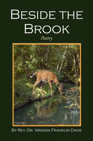 Beside the Brook de Rev. Virginia Franklin Davis