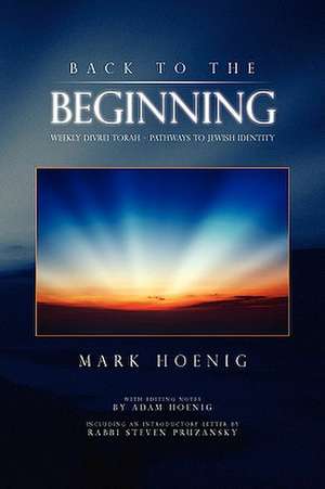 Back To The Beginning de Mark Hoenig