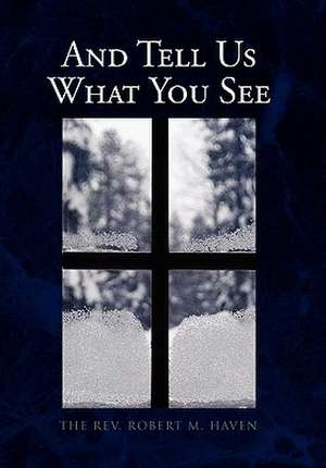 And Tell Us What You See de Rev Robert M. Haven