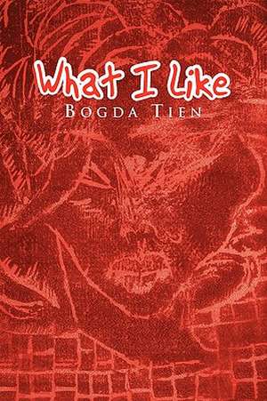 What I Like de Bogda Tien