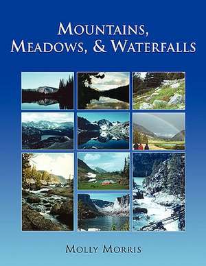 Mountains, Meadows, and Waterfalls de Molly Morris