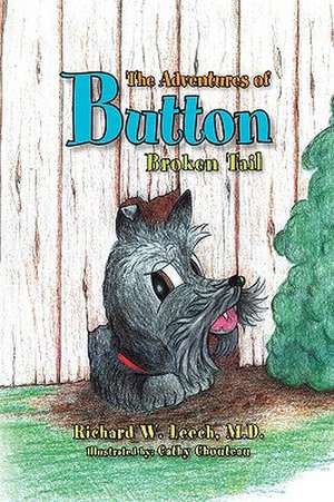 The Adventures of Button de Richard W. M. D. Leech