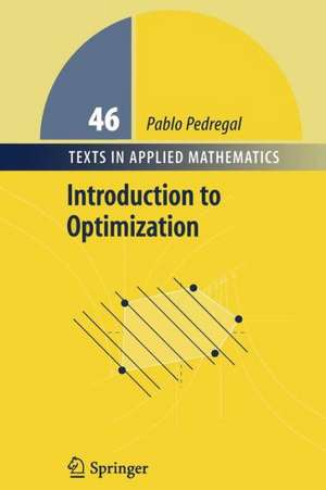 Introduction to Optimization de Pablo Pedregal