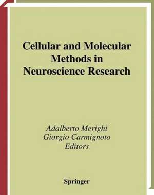 Cellular and Molecular Methods in Neuroscience Research de Adalberto Merighi