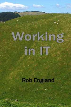 Working in It de Rob England