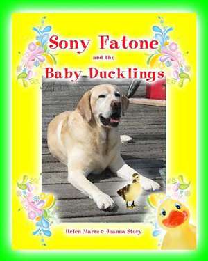 Sony Fatone and the Baby Ducklings de Helen Marrs