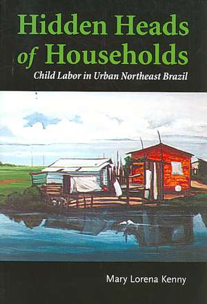 Hidden Heads of the Households de Mary Lorena Kenny