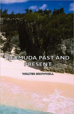 Bermuda Past and Present de Walter Brownell