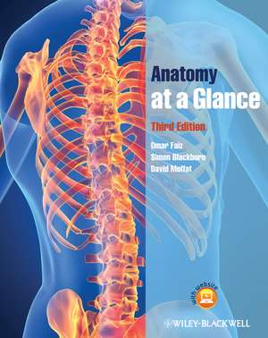 Anatomy at a Glance 3e Anatomie