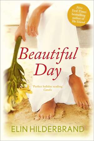 Beautiful Day de Elin Hilderbrand