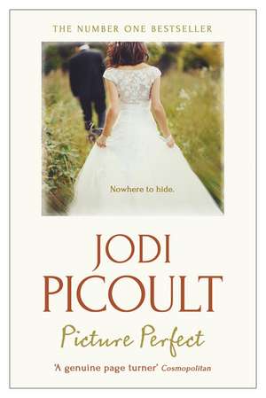 Picture Perfect de Jodi Picoult