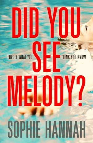 Hannah, S: Did You See Melody? de Sophie Hannah