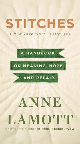 Stitches de Anne Lamott