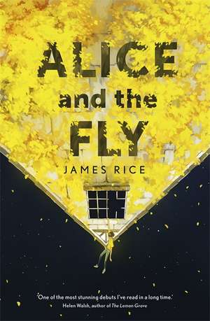 Alice and the Fly de James Rice