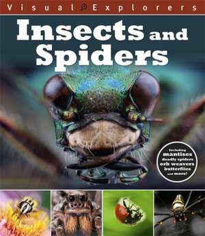 Calver, P: Visual Explorers: Insects and Spiders de Toby Reynolds