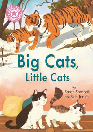 Reading Champion: Big Cats, Little Cats de Sarah Snashall