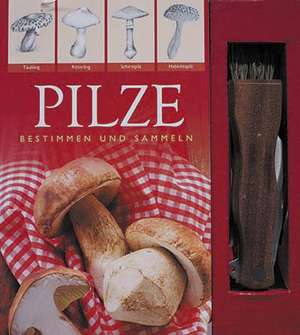 Pilze