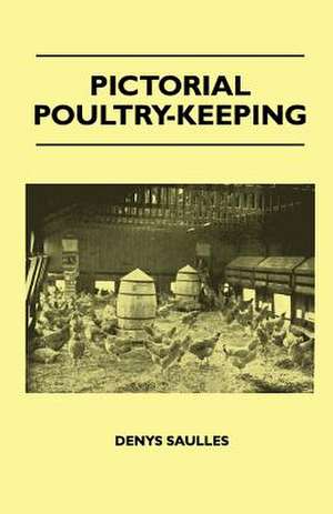 Pictorial Poultry-Keeping de Denys Saulles