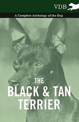 The Black and Tan Terrier - A Complete Anthology of the Dog - de various