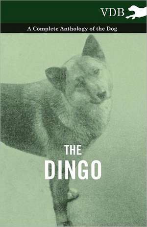 The Dingo - A Complete Anthology of the Dog - de various