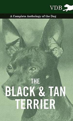 The Black and Tan Terrier - A Complete Anthology of the Dog - de various