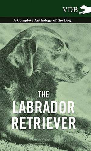 The Labrador Retriever - A Complete Anthology of the Dog de various