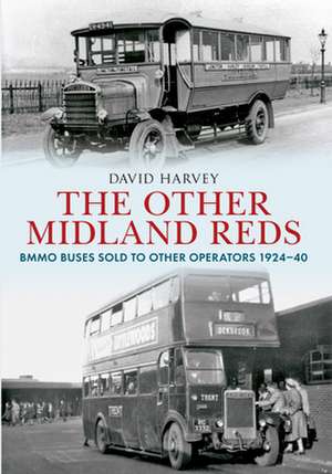 The Other Midland Reds de David Harvey