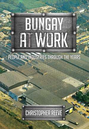 Bungay at Work: People and Industries Through the Years de Christopher Reeve