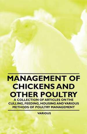 Management of Chickens and Other Poultry - A Collection of Articles on the Culling, Feeding, Housing and Various Methods of Poultry Management de Various