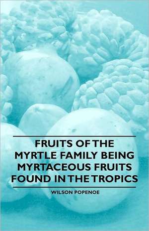 Fruits of the Myrtle Family being Myrtaceous Fruits Found in the Tropics de Wilson Popenoe