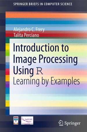 Introduction to Image Processing Using R: Learning by Examples de Alejandro C. Frery