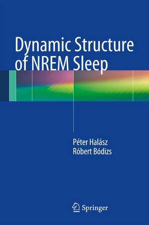 Dynamic Structure of NREM Sleep de Peter Halasz