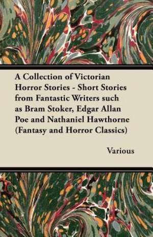 A Collection of Victorian Horror Stories - Short Stories from Fantastic Writers Such as Bram Stoker, Edgar Allan Poe and Nathaniel Hawthorne (Fantas de Various