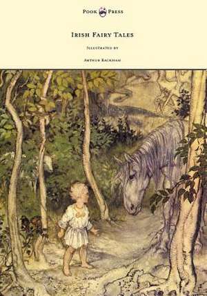 Irish Fairy Tales - Illustrated by Arthur Rackham de James Stephens