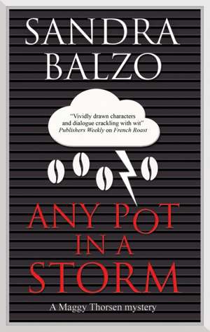 Any Pot in a Storm de Sandra Balzo