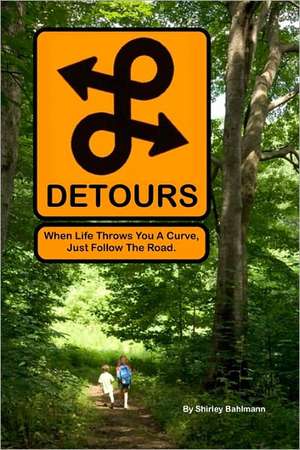 Detours: When Life Throws You a Curve, Just Follow the Road de Shirley Bahlmann