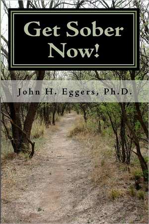 Get Sober Now: An Evidence Based Self-Help Program Proven to Get You Sober and Stay That Way! de Ph. D. John H. Eggers