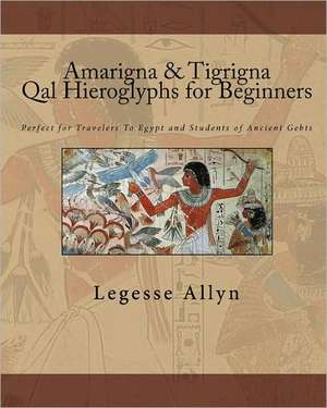 Amarigna & Tigrigna Qal Hieroglyphs for Beginners: Perfect for Travelers to Egypt and Students of Ancient Gebts de Legesse Allyn