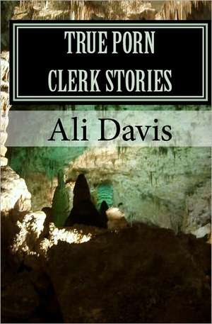 True Porn Clerk Stories: The War Between the States de Ali Davis