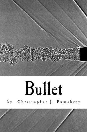 Bullet: Joe's Hidden Treasure de Christopher J. Pumphrey