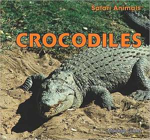 Crocodiles de Maddie Gibbs