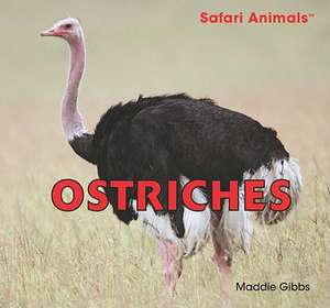 Ostriches de Maddie Gibbs