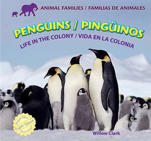 Penguins/Pinginos: Life in the Colony/Vida En La Colonia de Willow Clark