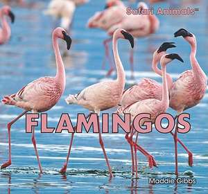 Flamingos de Maddie Gibbs