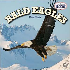 Bald Eagles de Meryl Magby